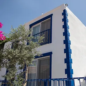  Otel Zeytin Dalı Butik Türkiye